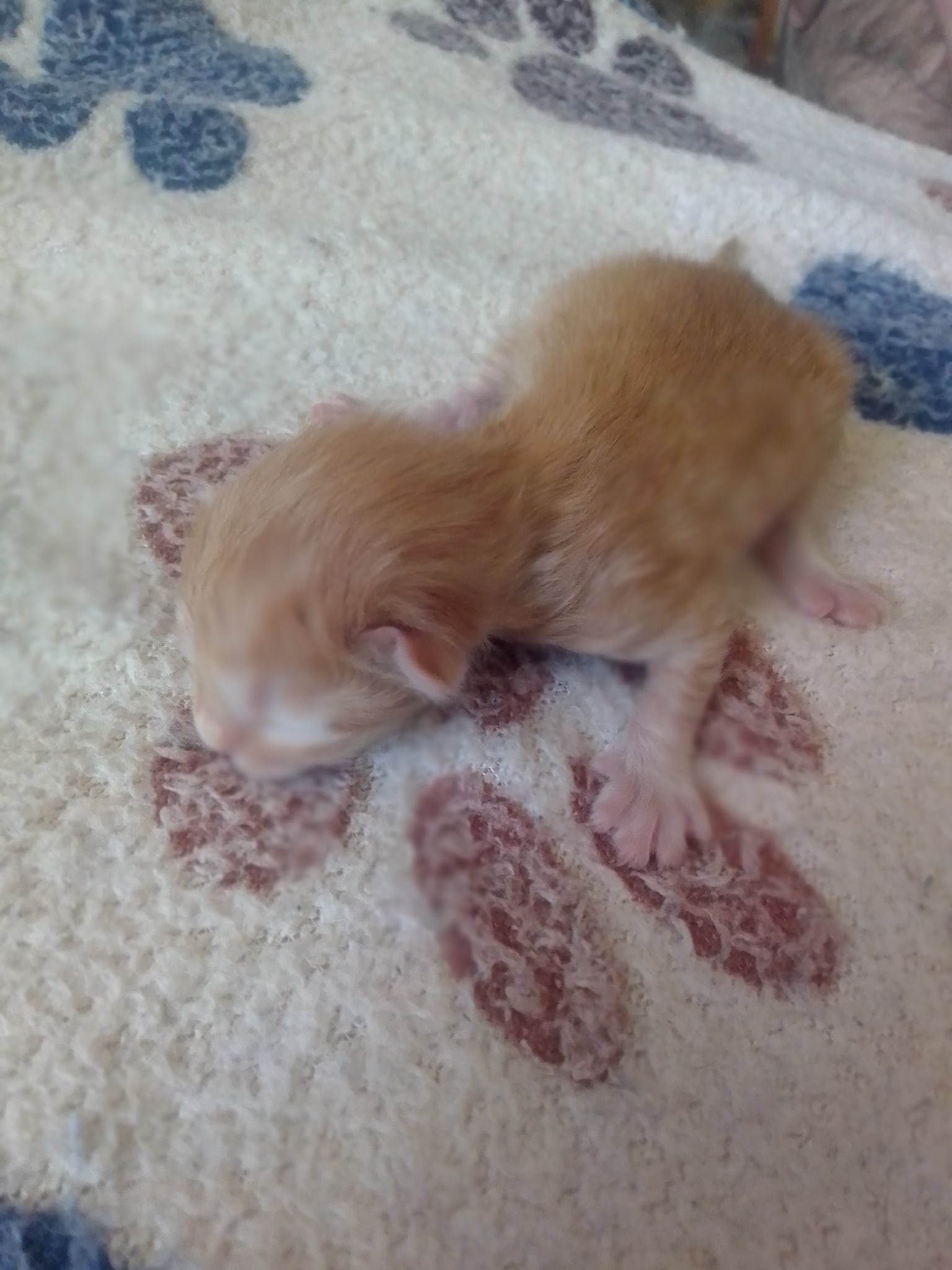 Куда ползти незнаю, помогите