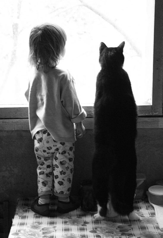 Мам, не забудь купить мороженое, а Барсику рыбки