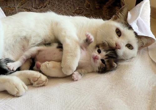 Никак малыш, не хочет спать