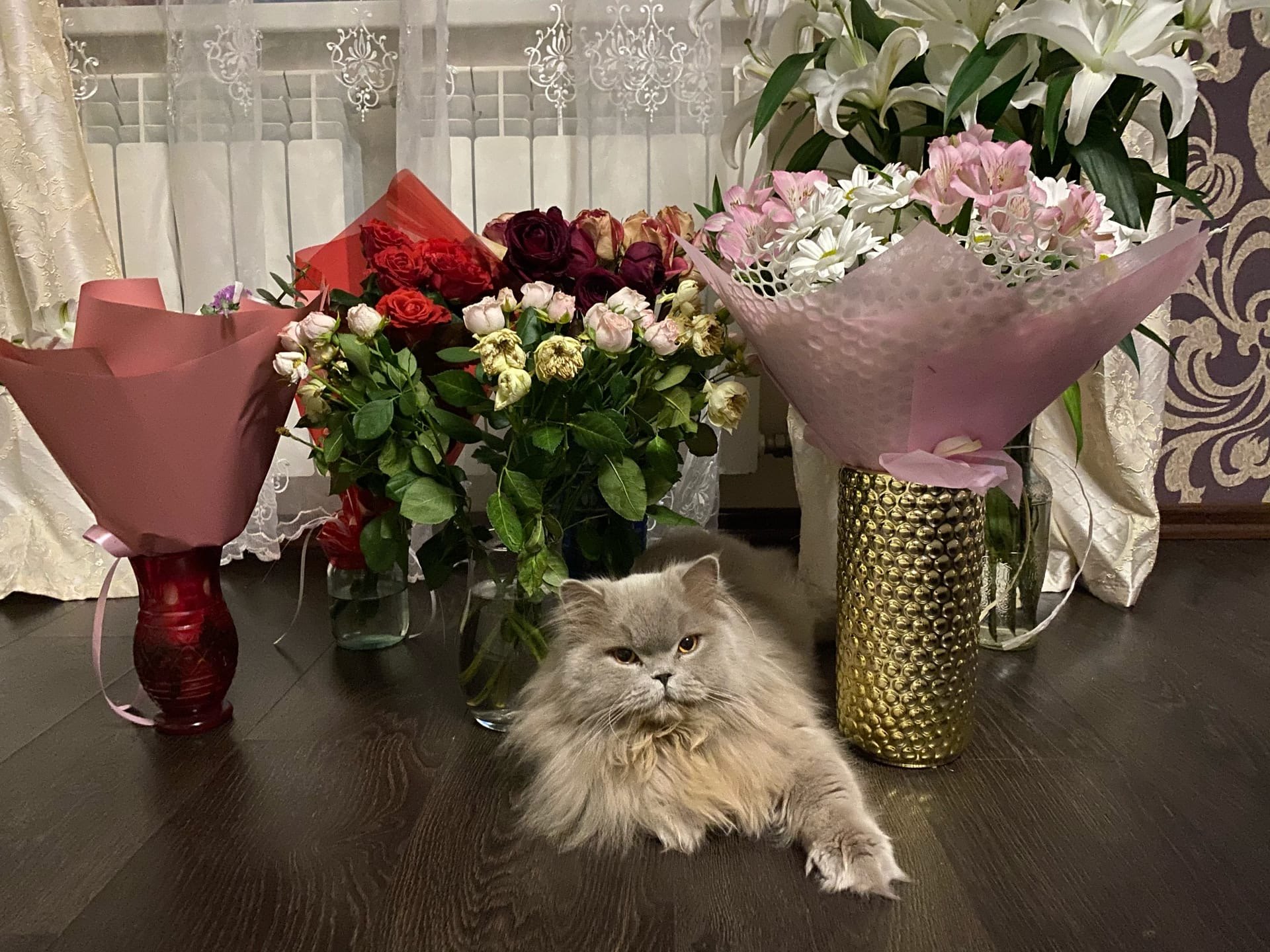 Как же, приятно принимать поздравления