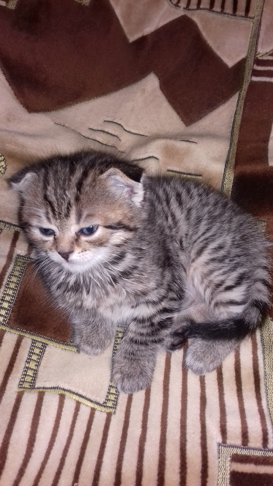 Дайте ещё поспать