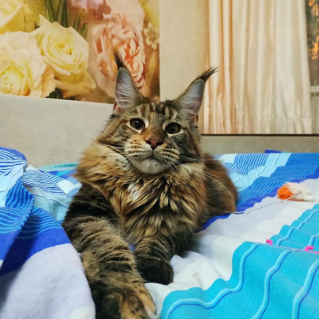 Идите на работу и трудитесь, а я полежу