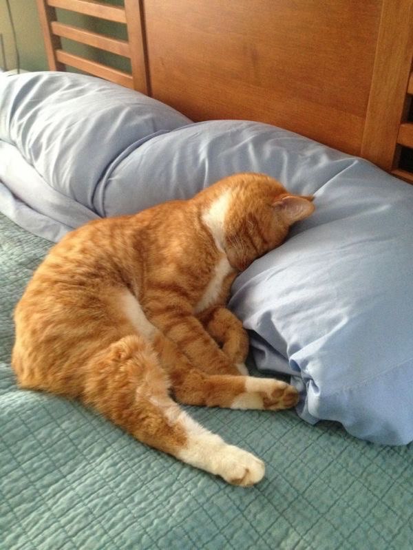 Проснусь, когда дождь закончится