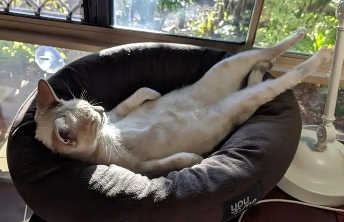 Мне на работу не идти, вот это кайф