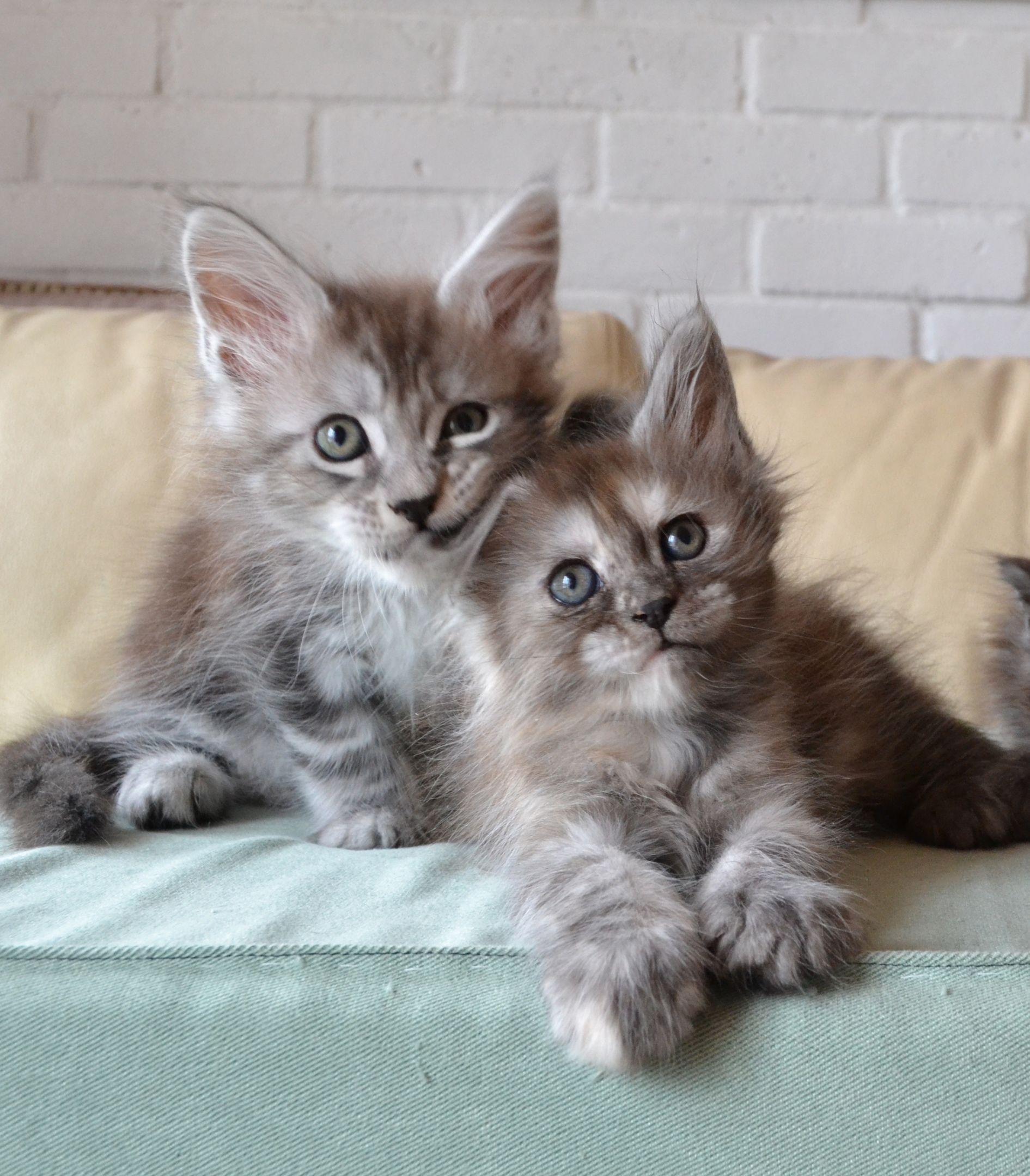 Давайте, сказки нам рассказывайте, а мы послушаем