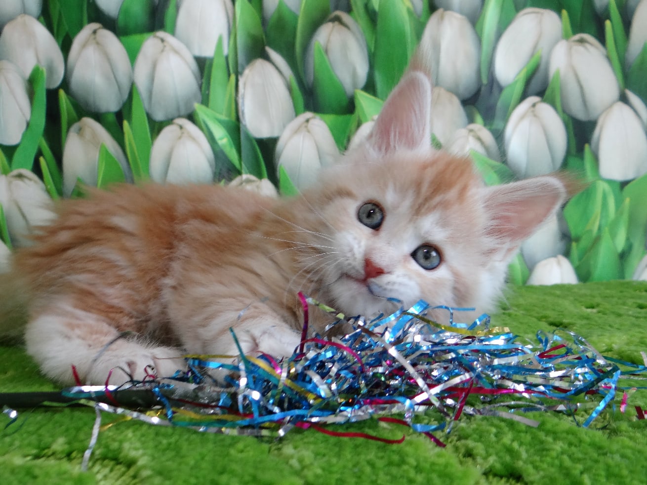 Пора ёлку наряжать