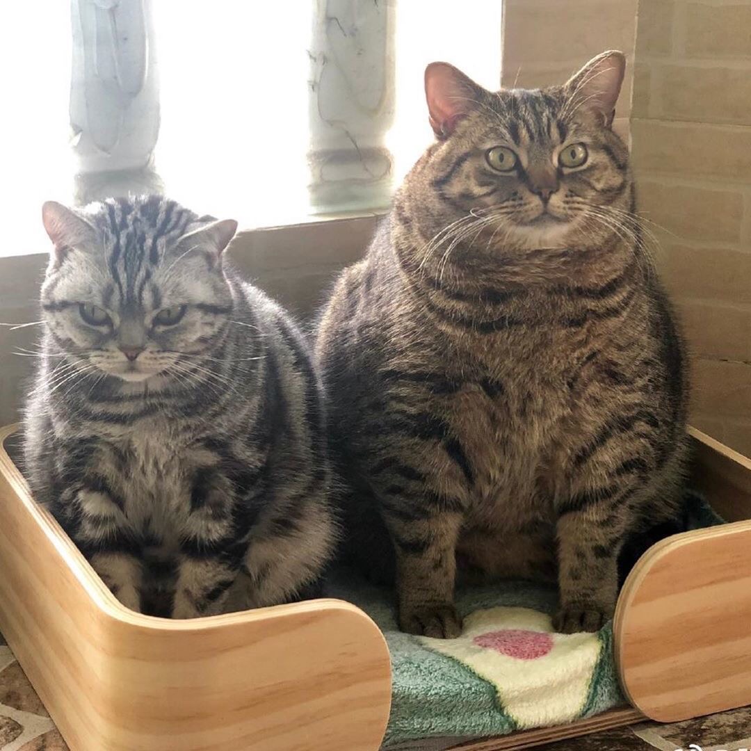 Маруся не наелась, давайте ещё кушать