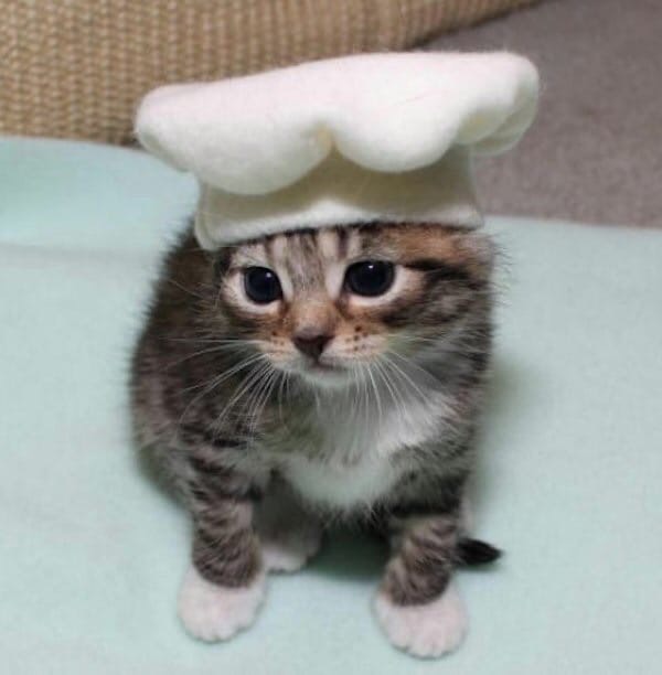 Маленький поварёнок