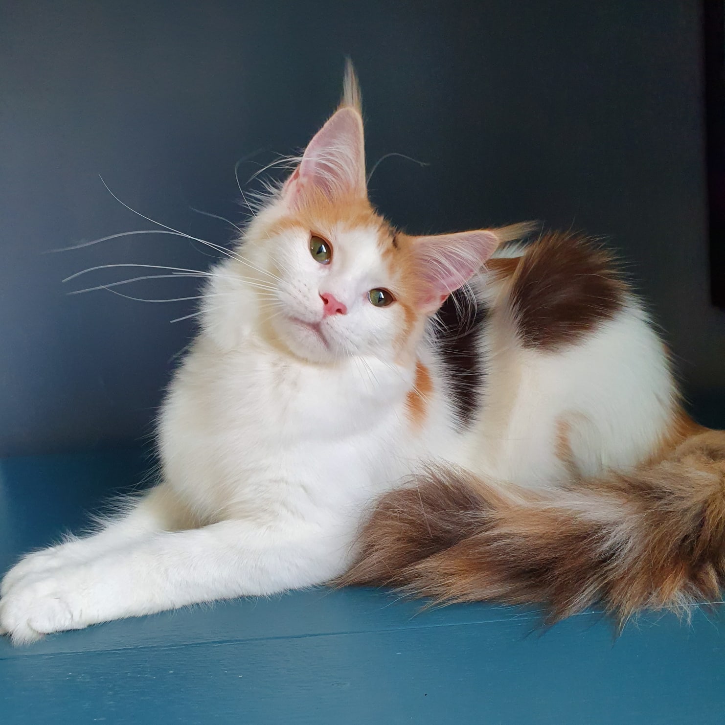 Ой, засыпали меня комплиментами