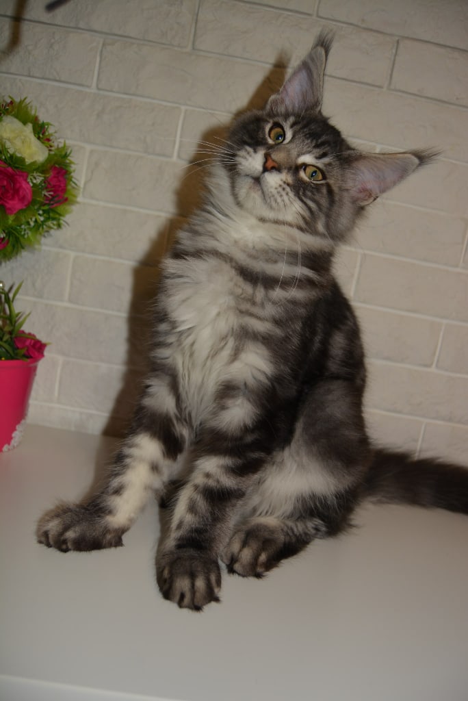 Чего мне больше хочется на ужин