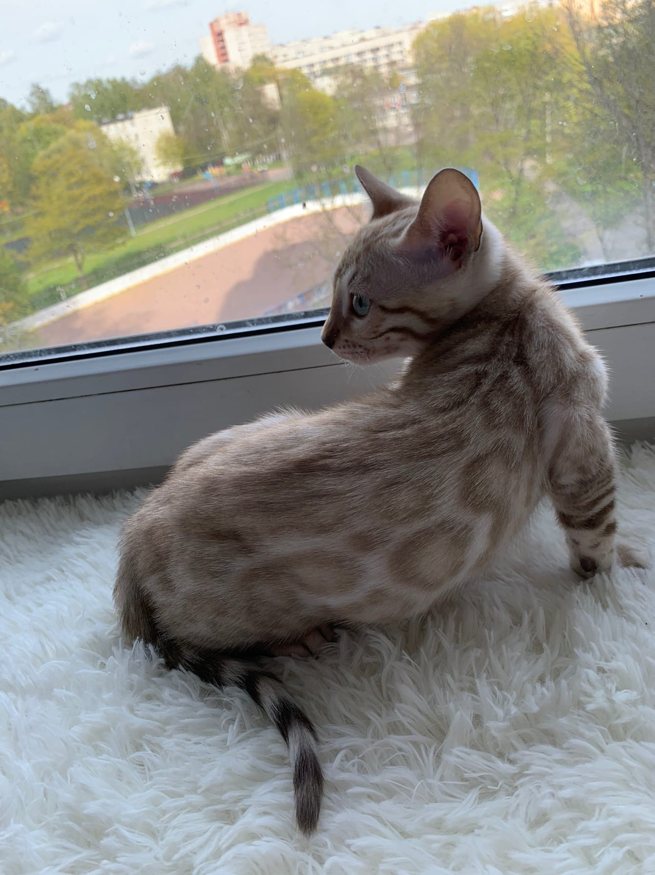 На улице солнышко вышло, может мне прогуляться