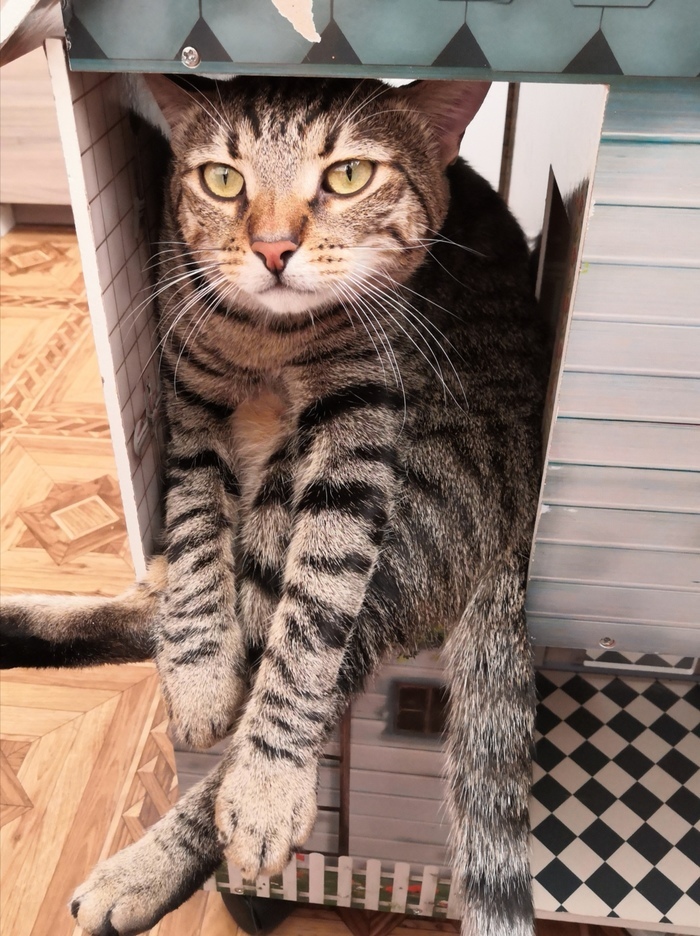 Этот домик, не для меня