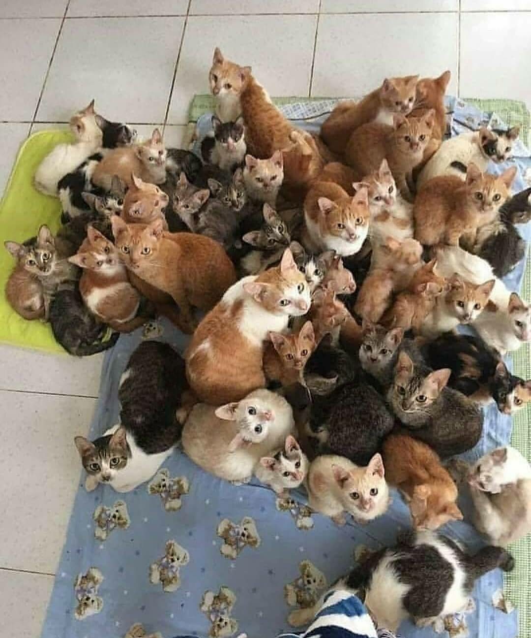 Ничего себе - семья