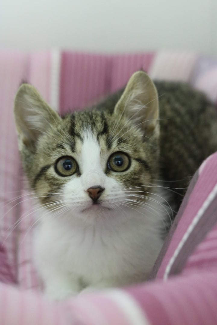 Сейчас поближе подберусь и чмокну в носик