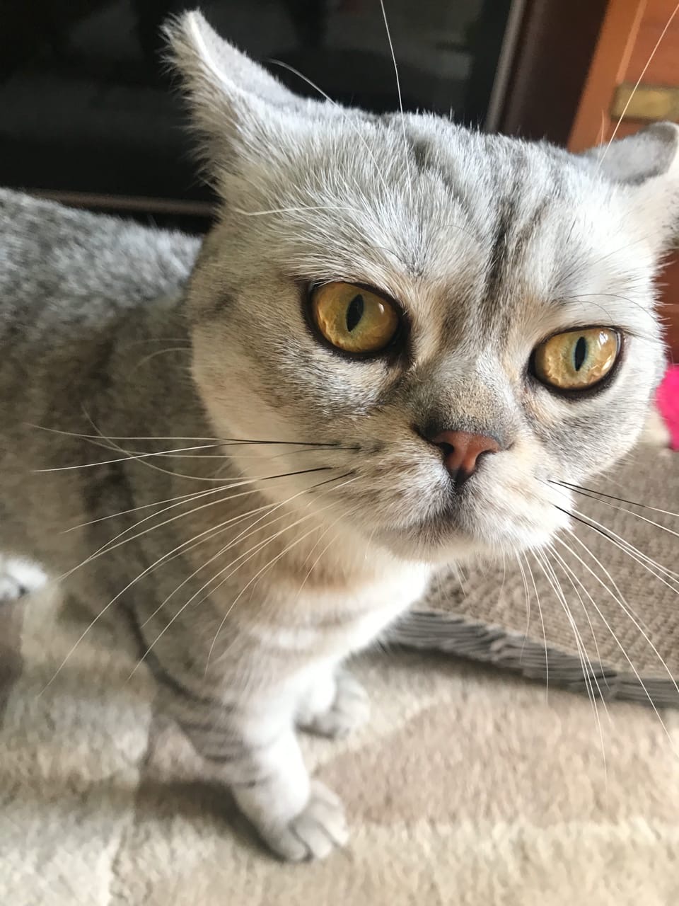 Вы все бытовые приборы выключили, перед уходом на работу