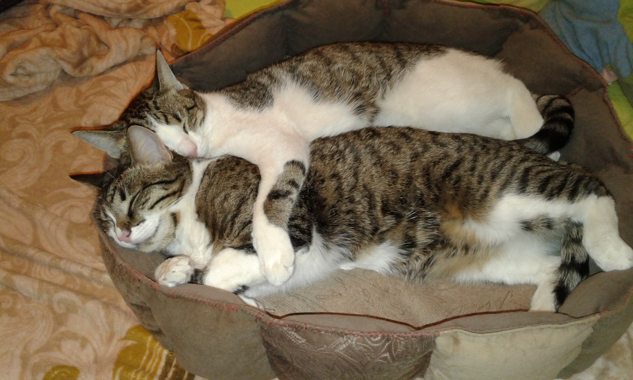 Не будите, дайте выспаться