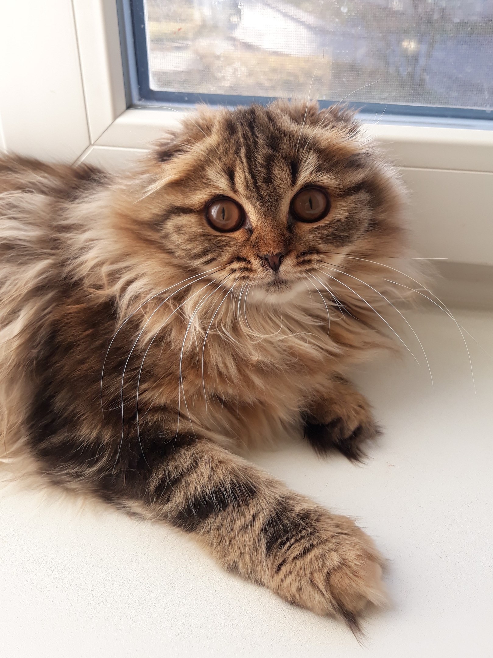 На улице дождь, придётся спать целый день