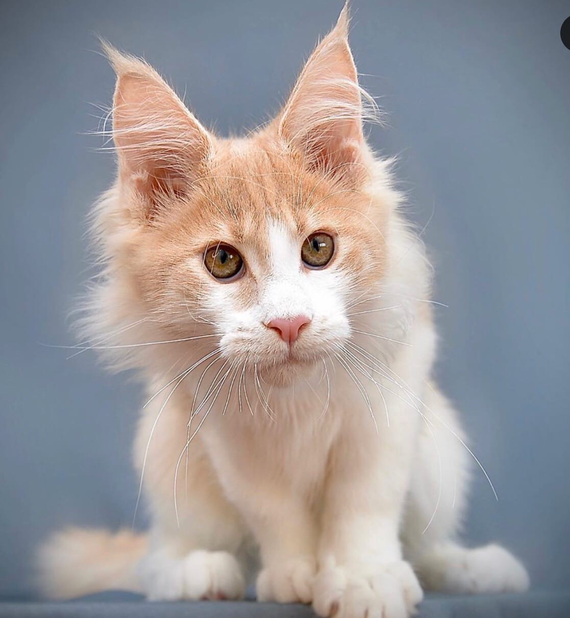 А ну как, покажите, что там у вас