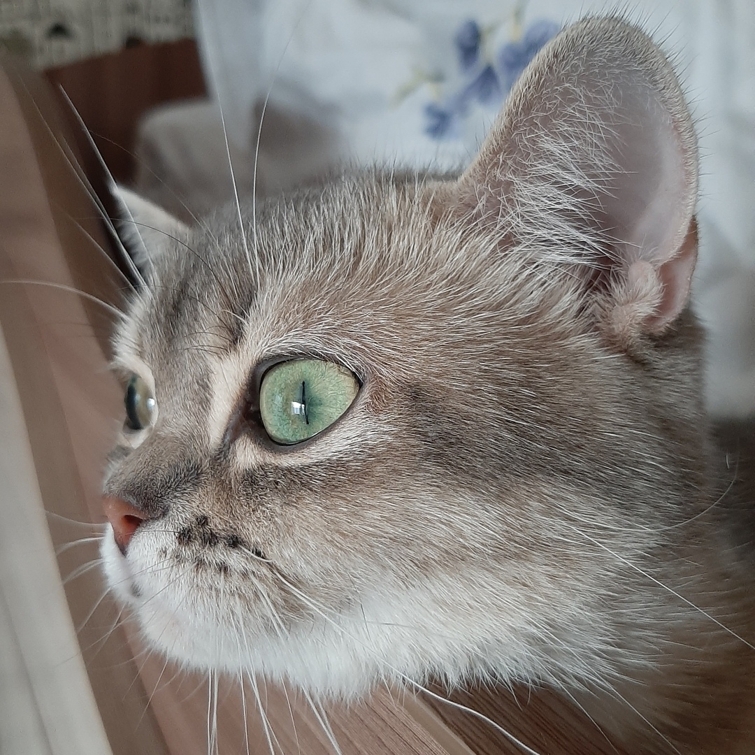 Когда же весна, гулять хочется