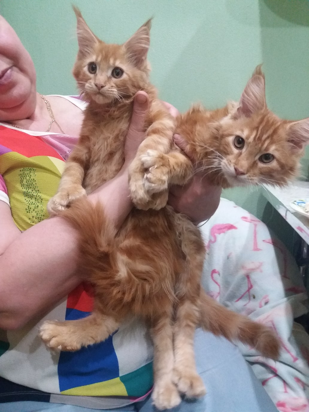 Отпустите, у нас дел полно