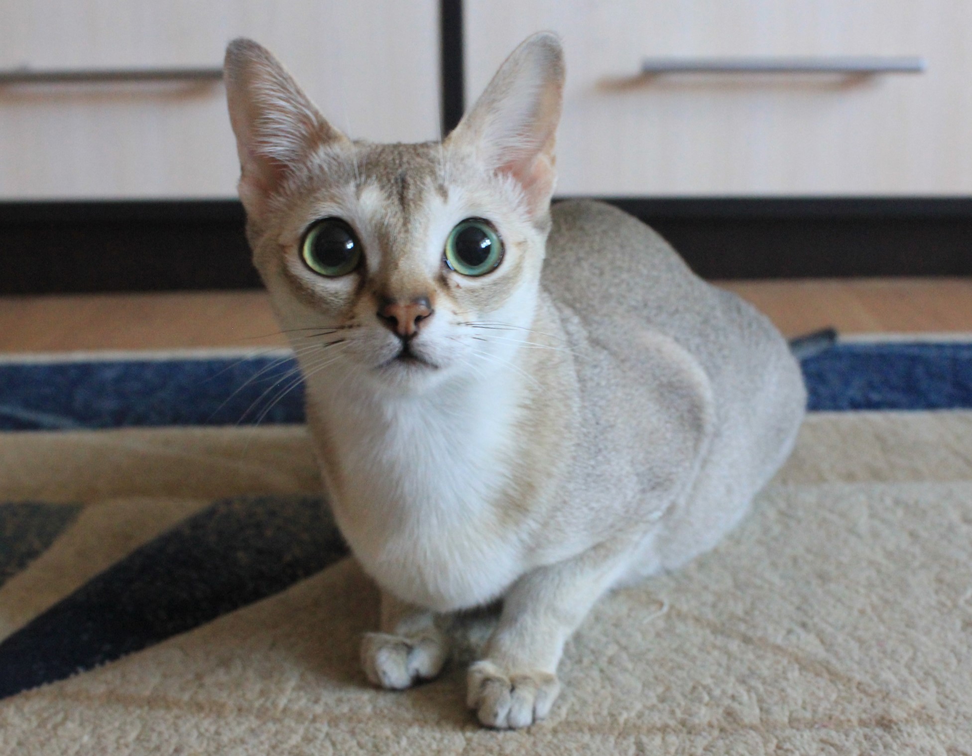 Пора бы и позавтракать