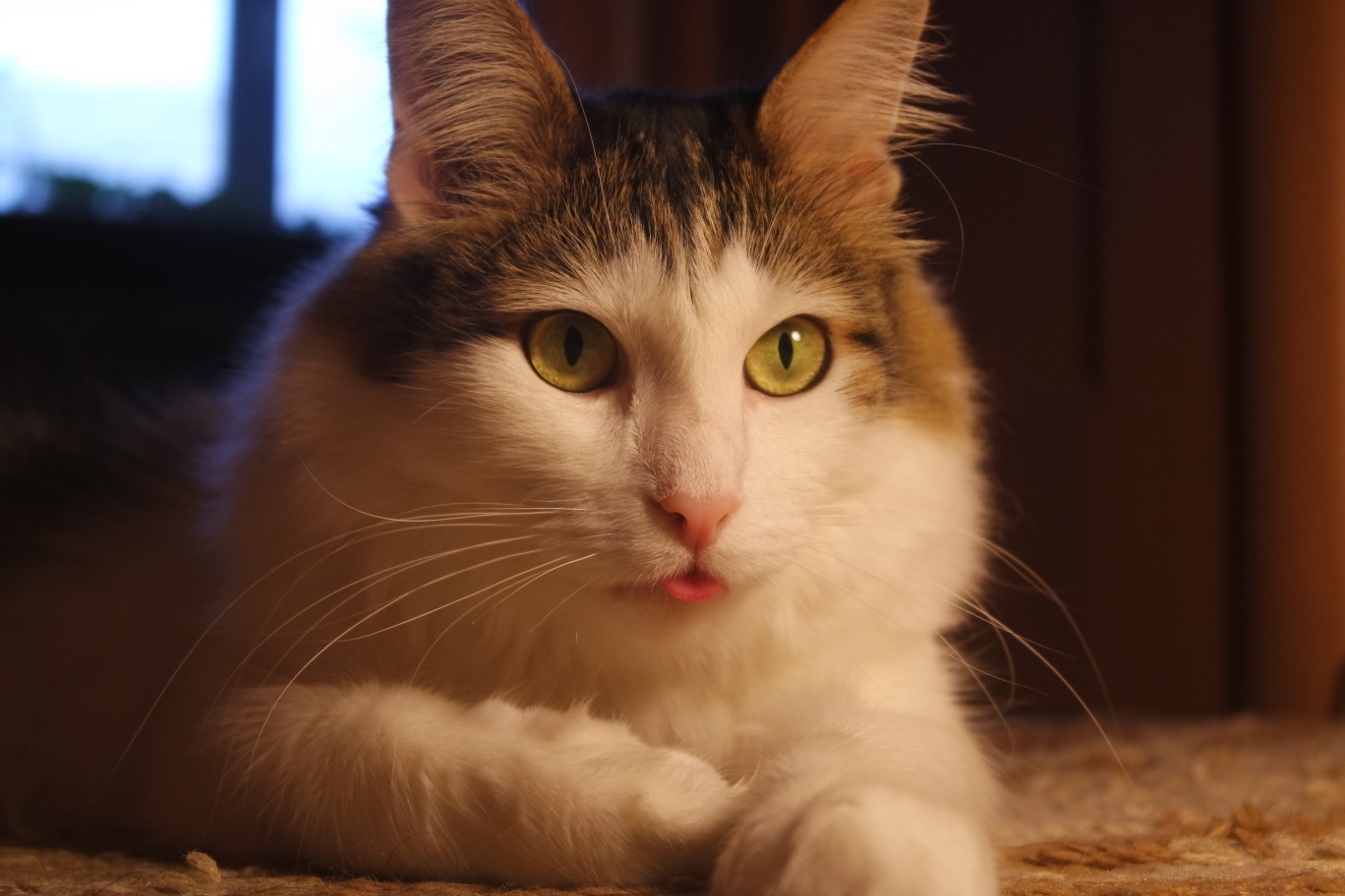 Что - то хотела сказать, но забыла