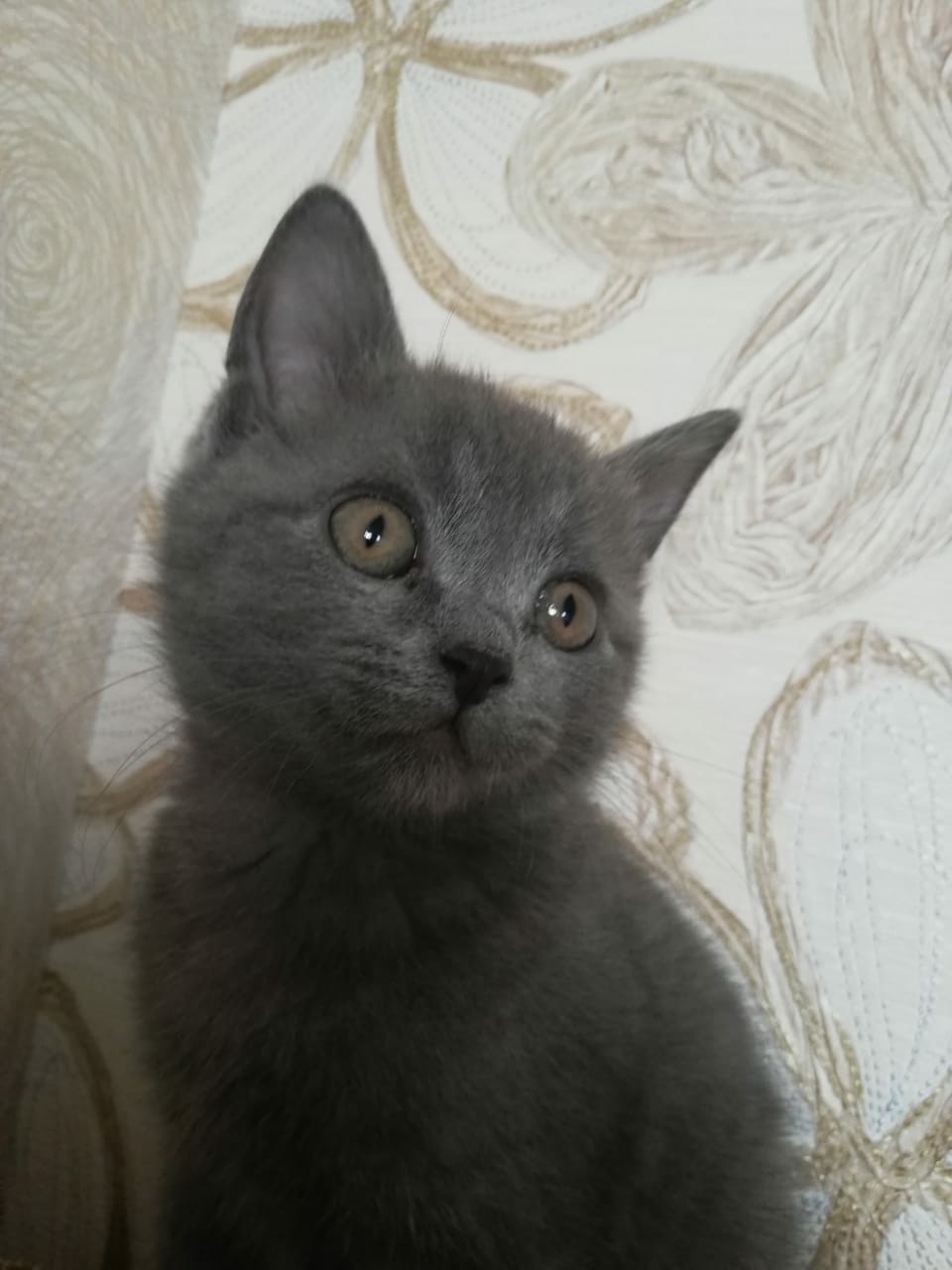 Что ждёт меня там, за углом в коридоре