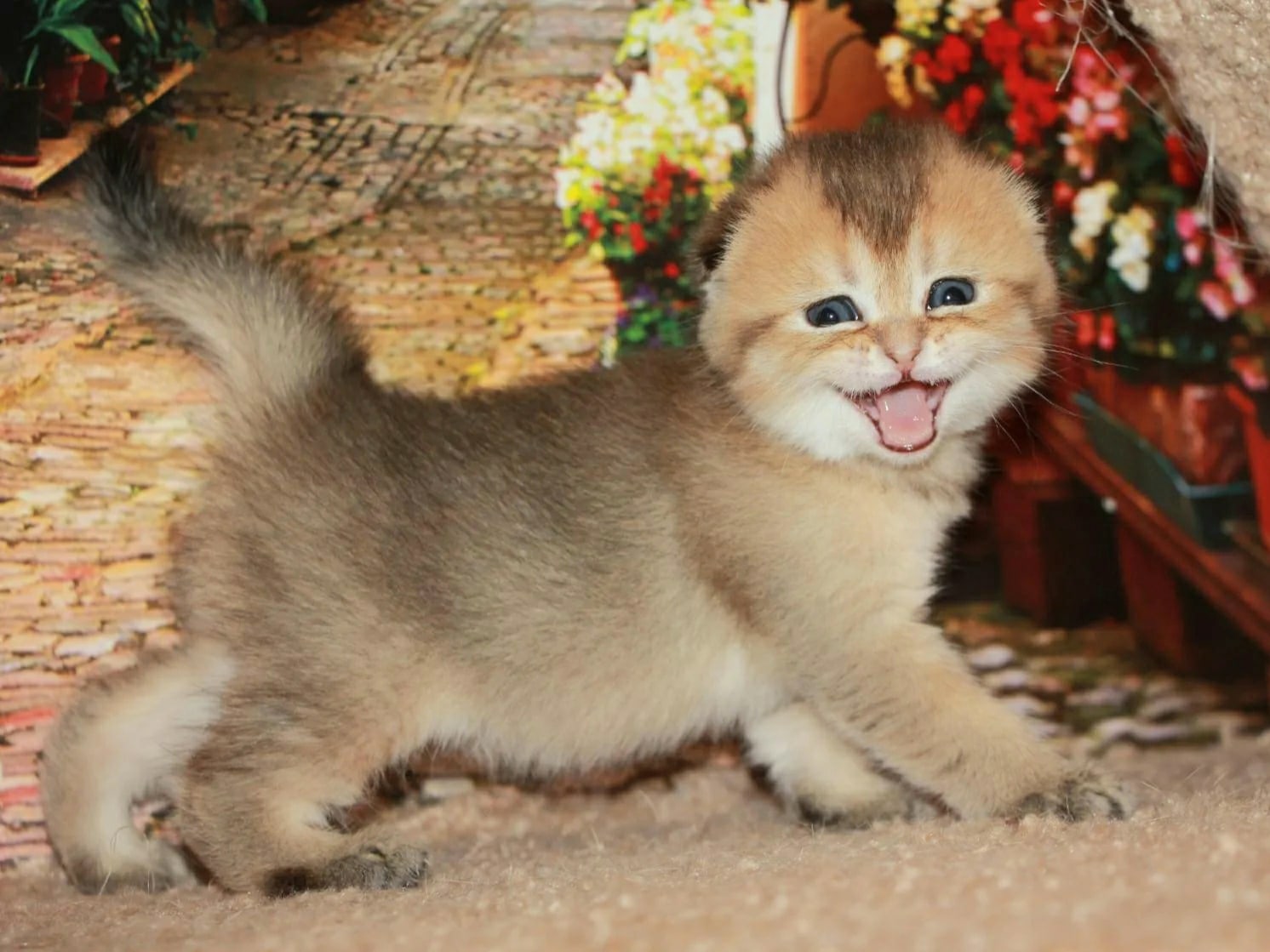 Ну и как я, хороша