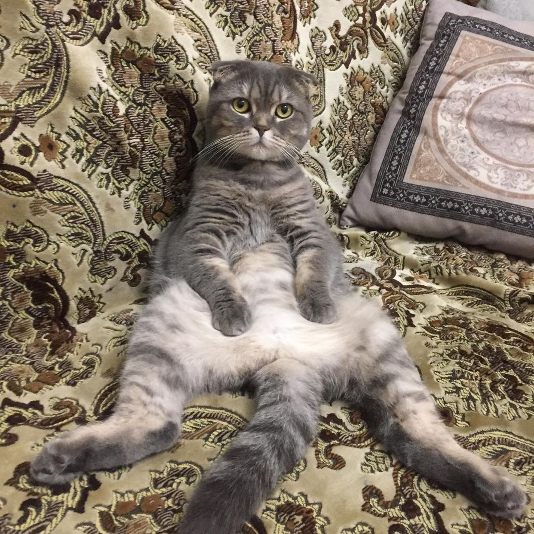 Присаживайтесь, есть разговор