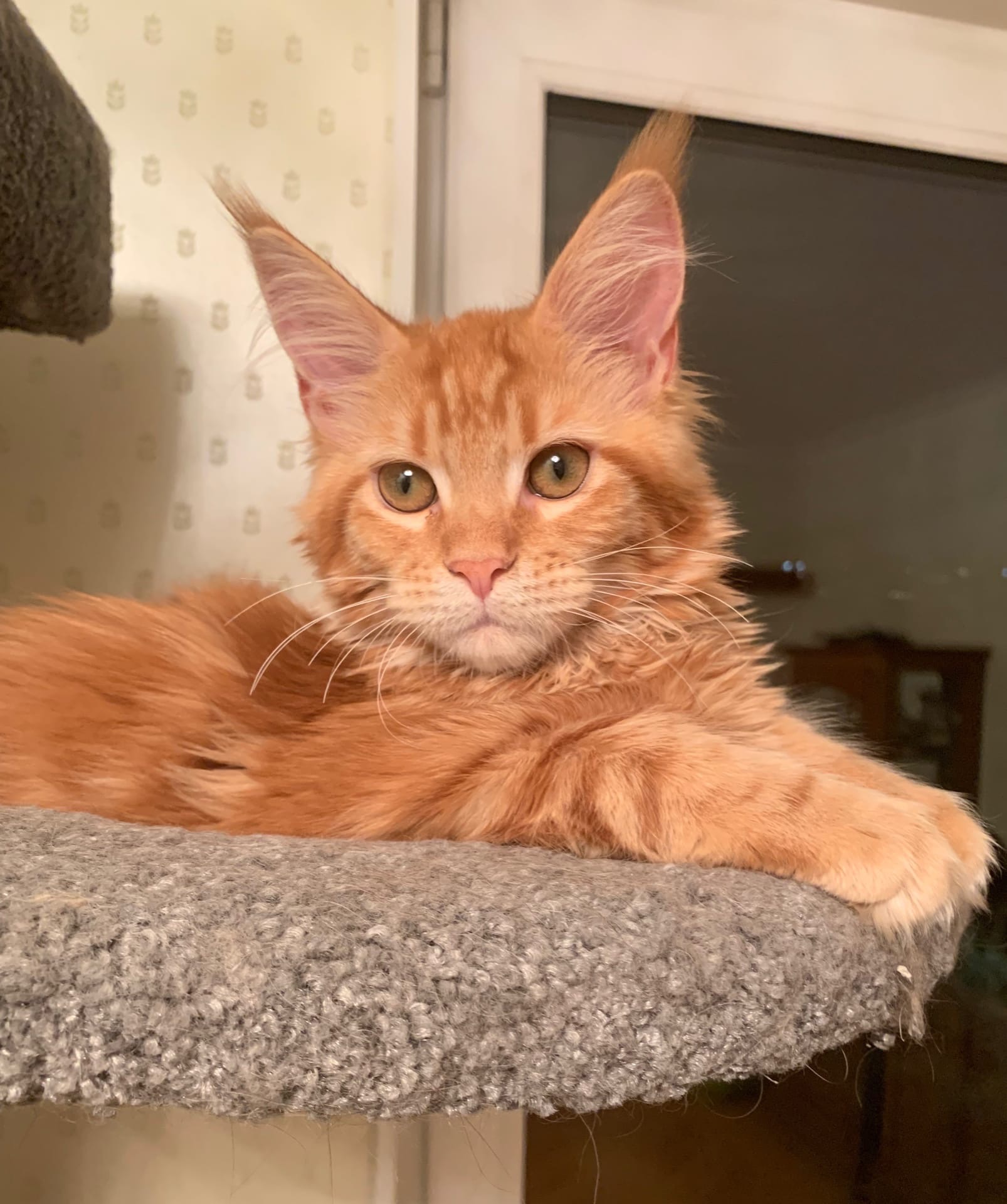 Все делами заняты, а я скучаю