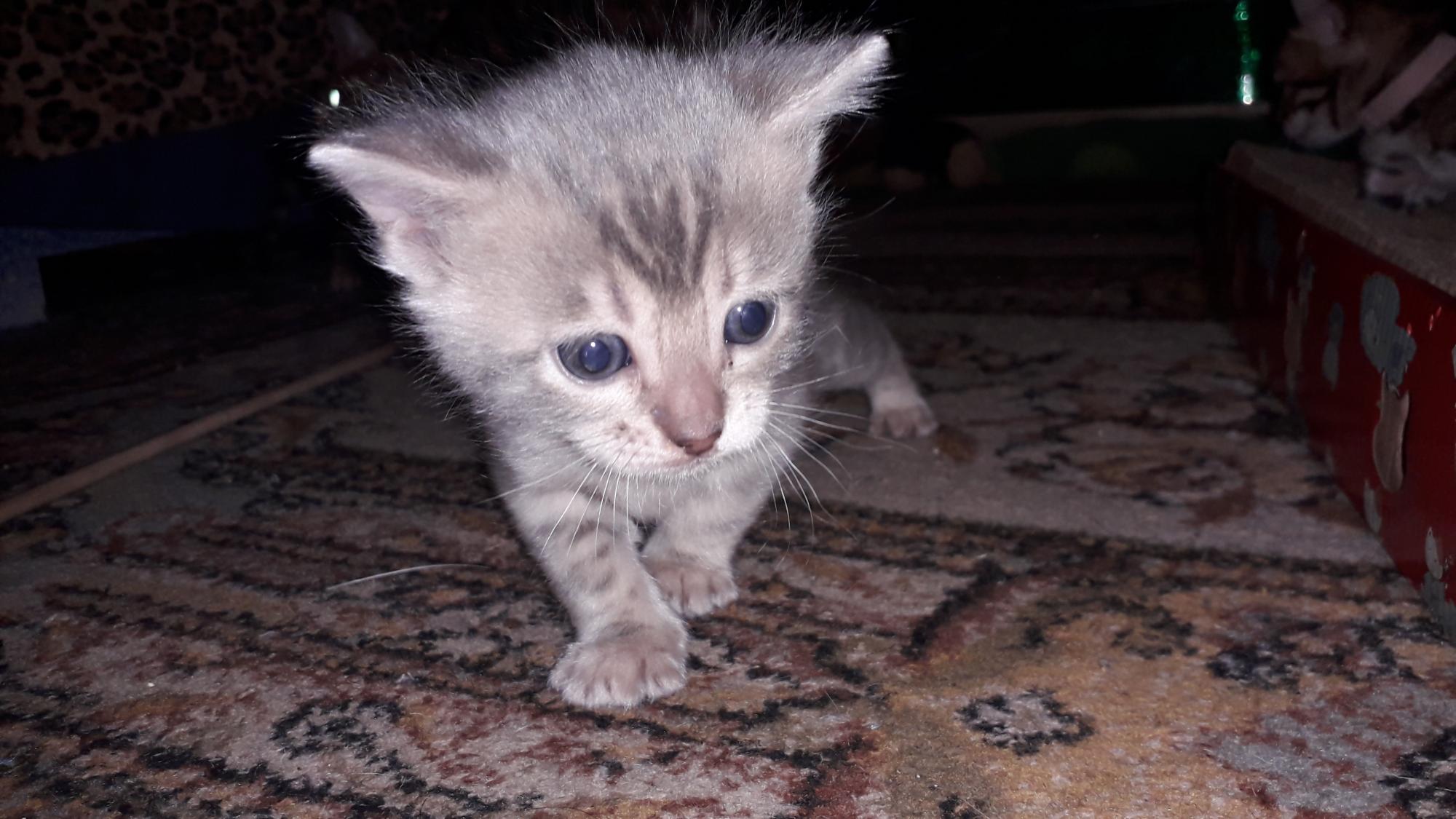 Осторожненько иду, чтобы никого не разбудить