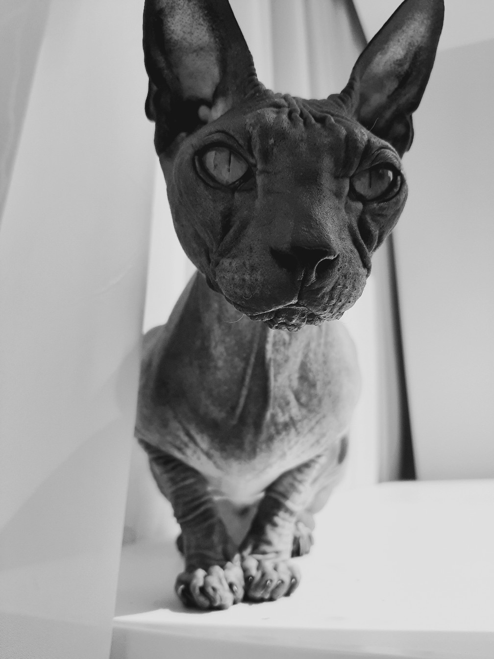 Я внимательно за всем наблюдаю