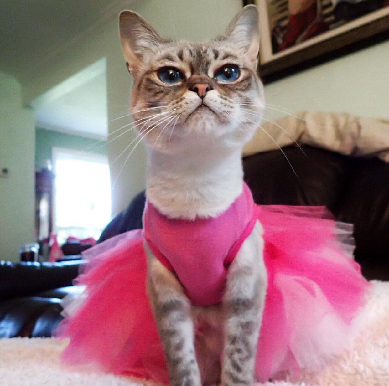 Я на празднике буду - самая красивая