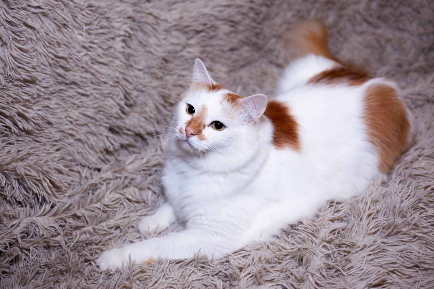 Похоже, я не выспалась, вставать не хочется