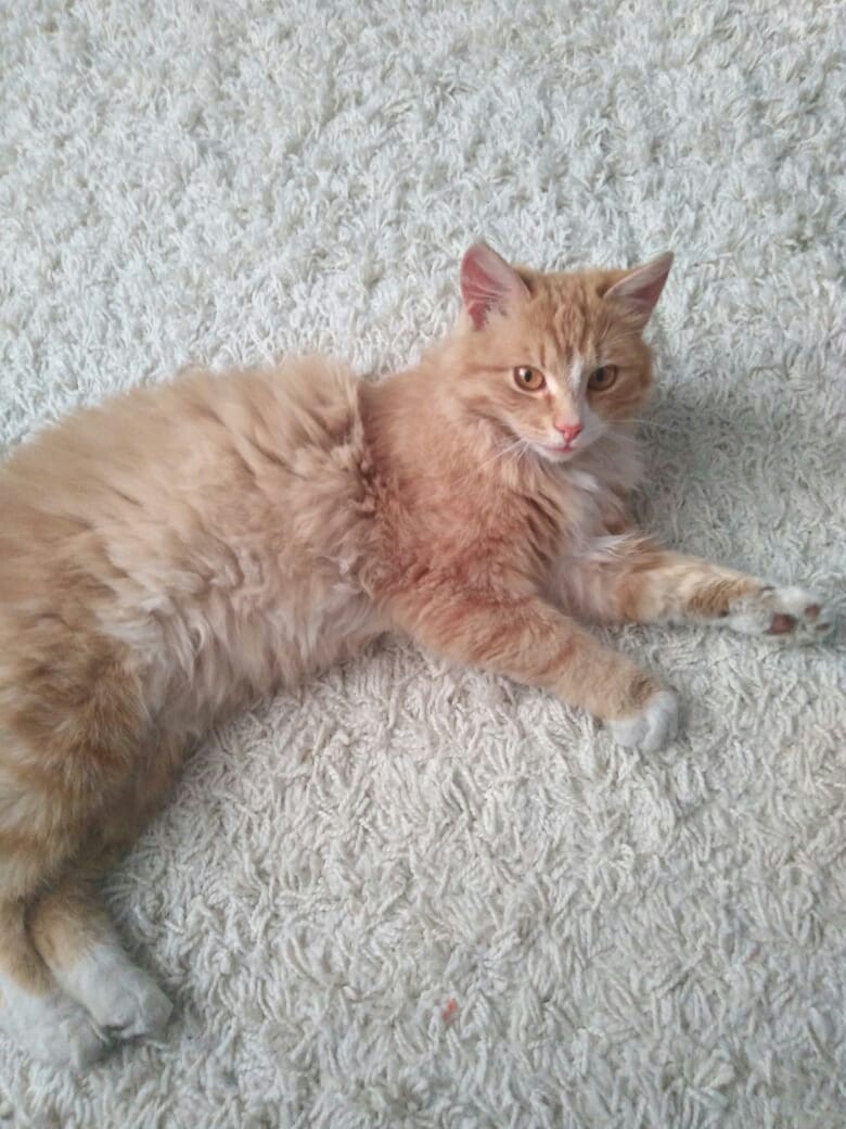 Опять рано разбудили