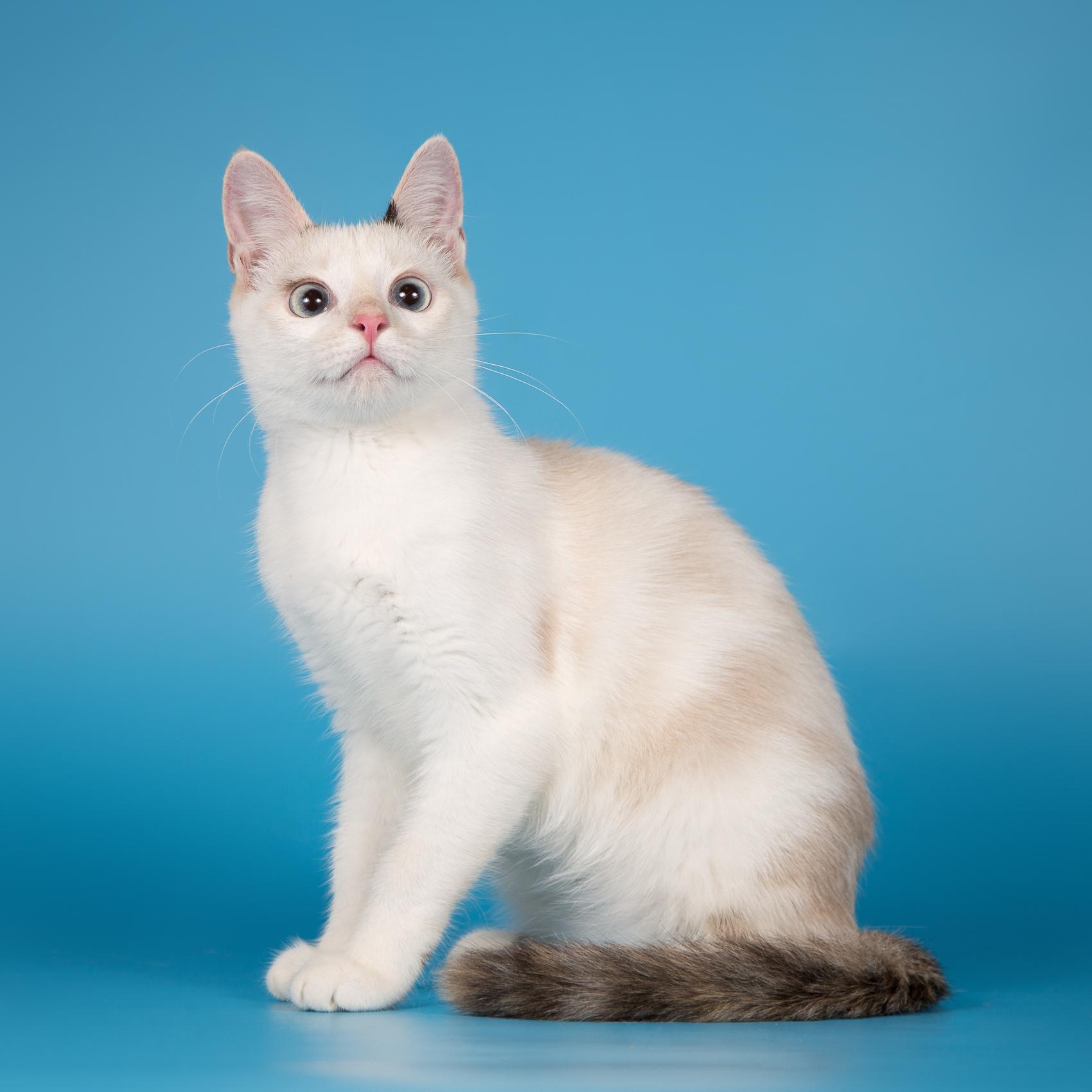 Вы не перестаёте меня удивлять