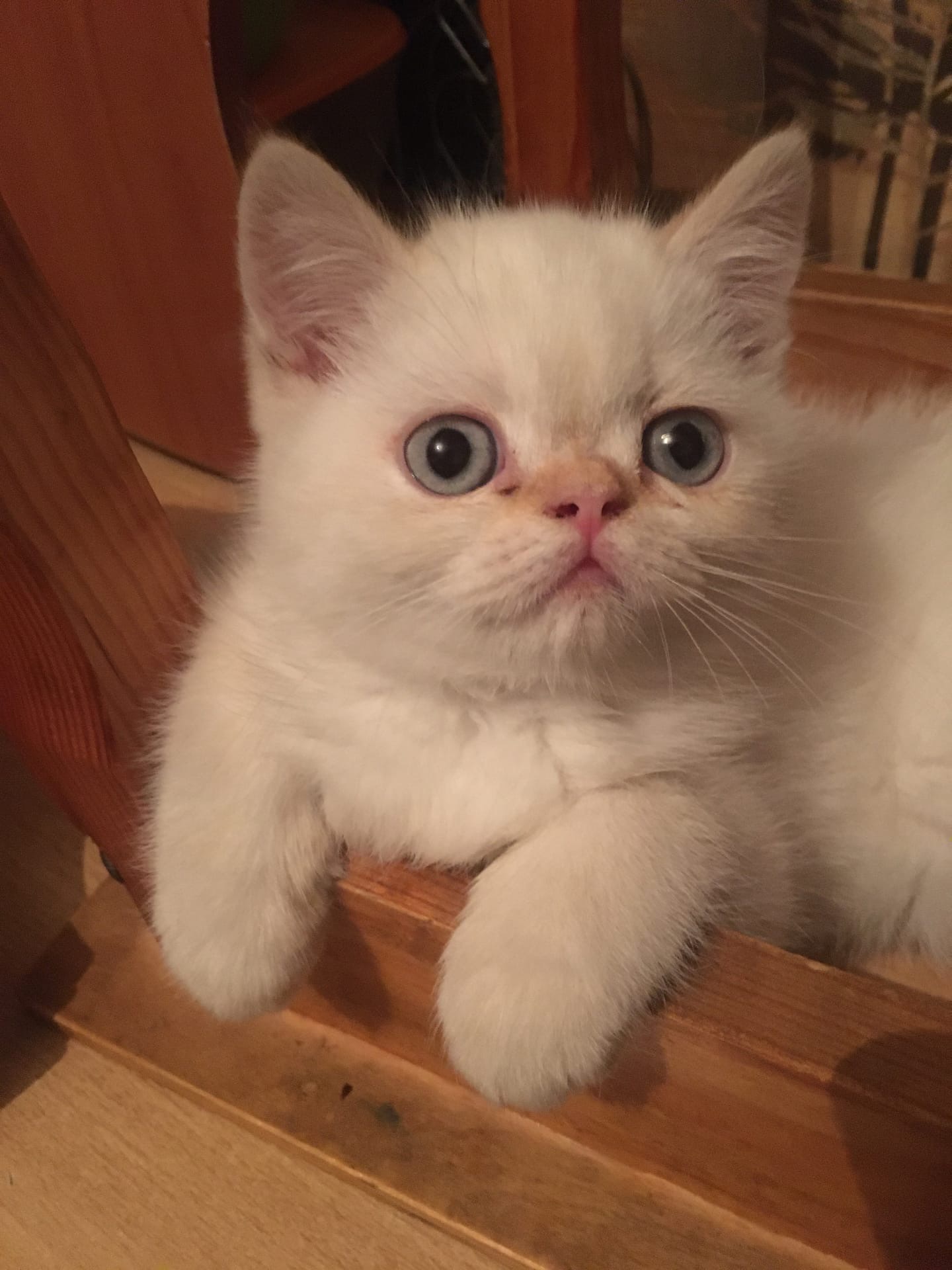 Может вам чем - нибудь помочь, а то я запросто