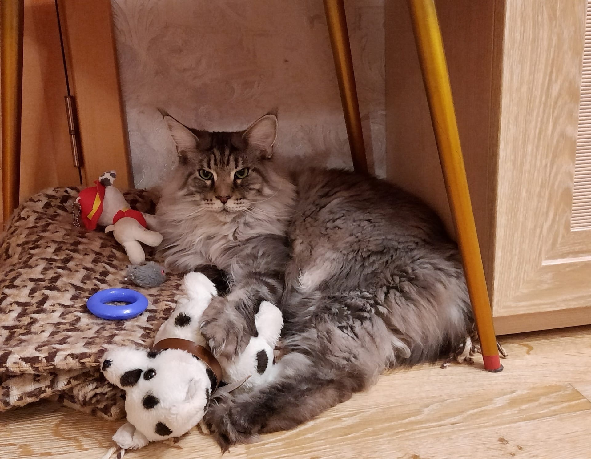 И всё - таки, мне чего - то не хватает