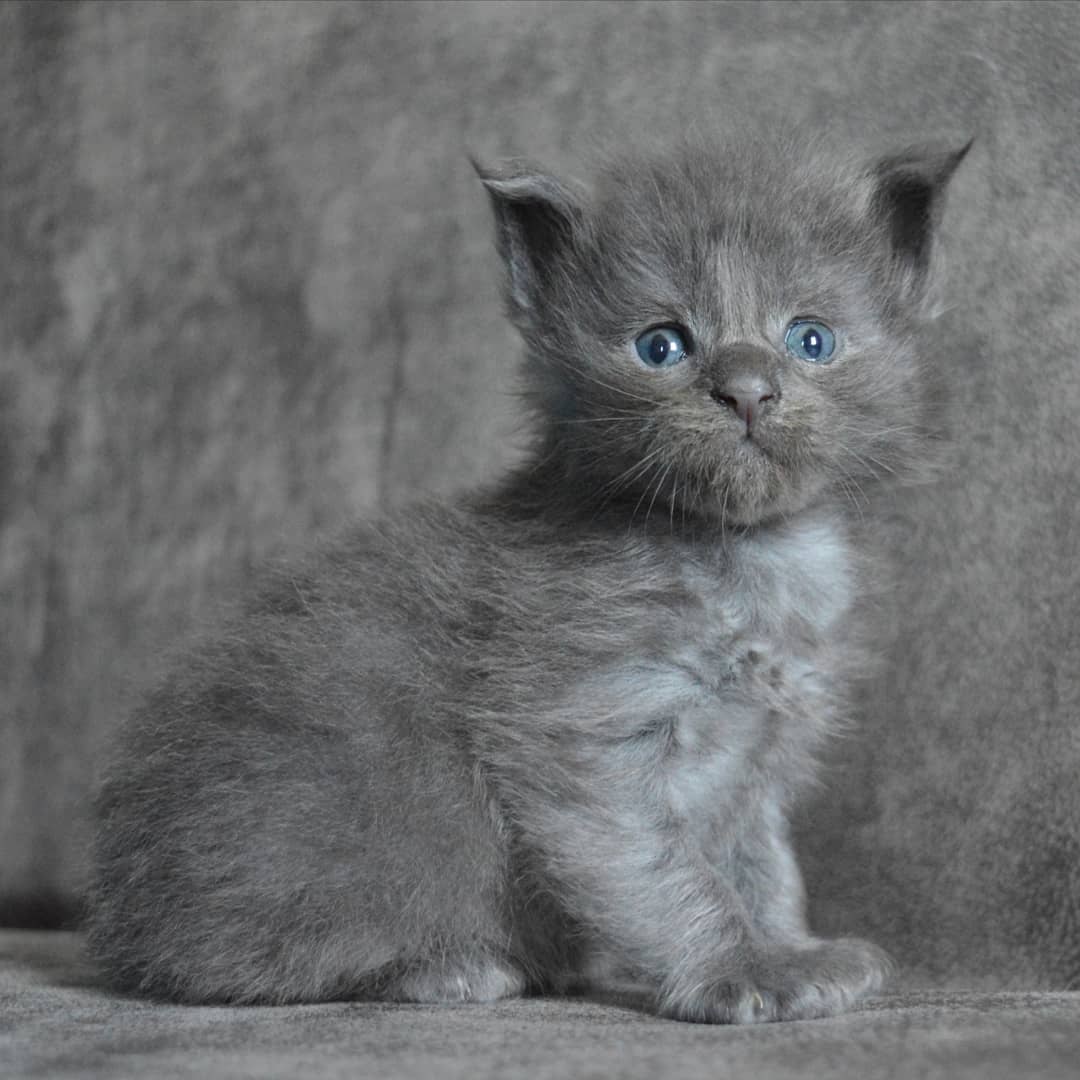 Уже утро и что делать надо