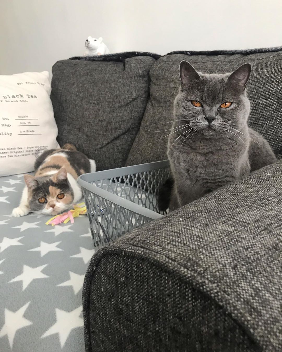 Пока хозяевам не до нас, сами развлекаемся