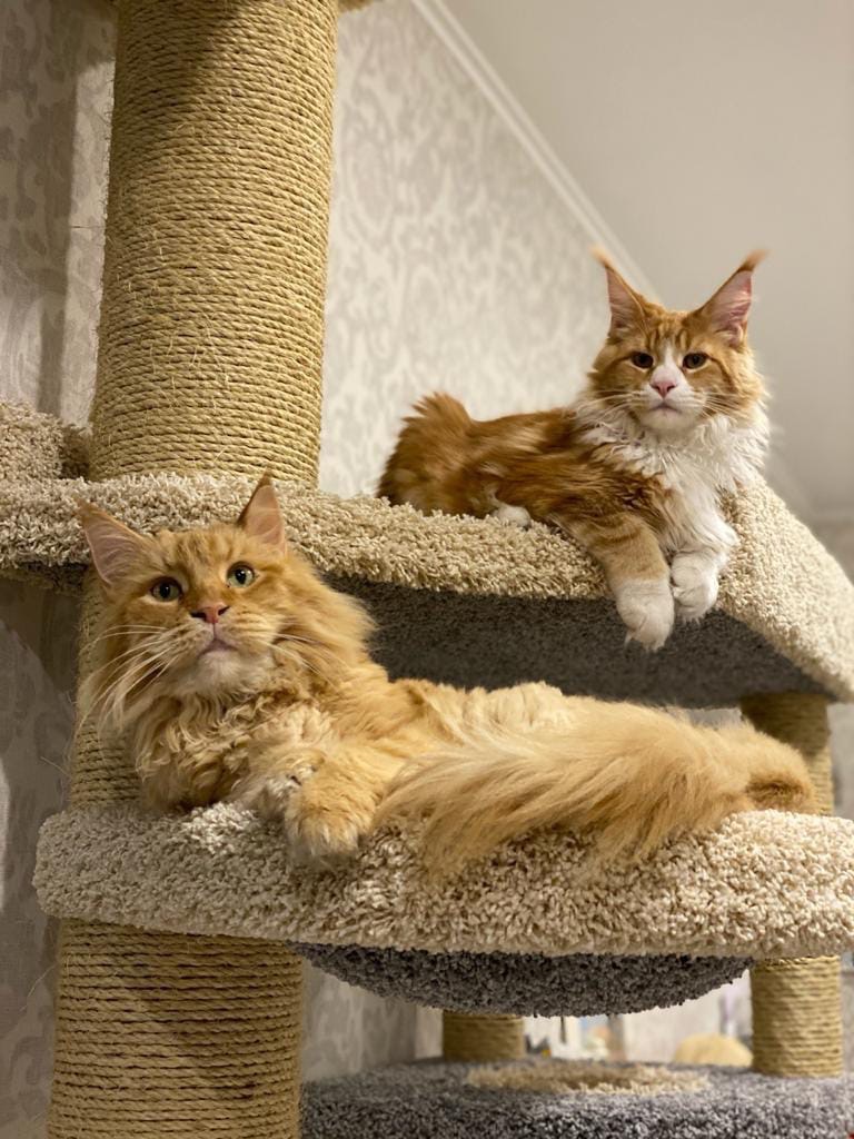 Каждый на своём месте