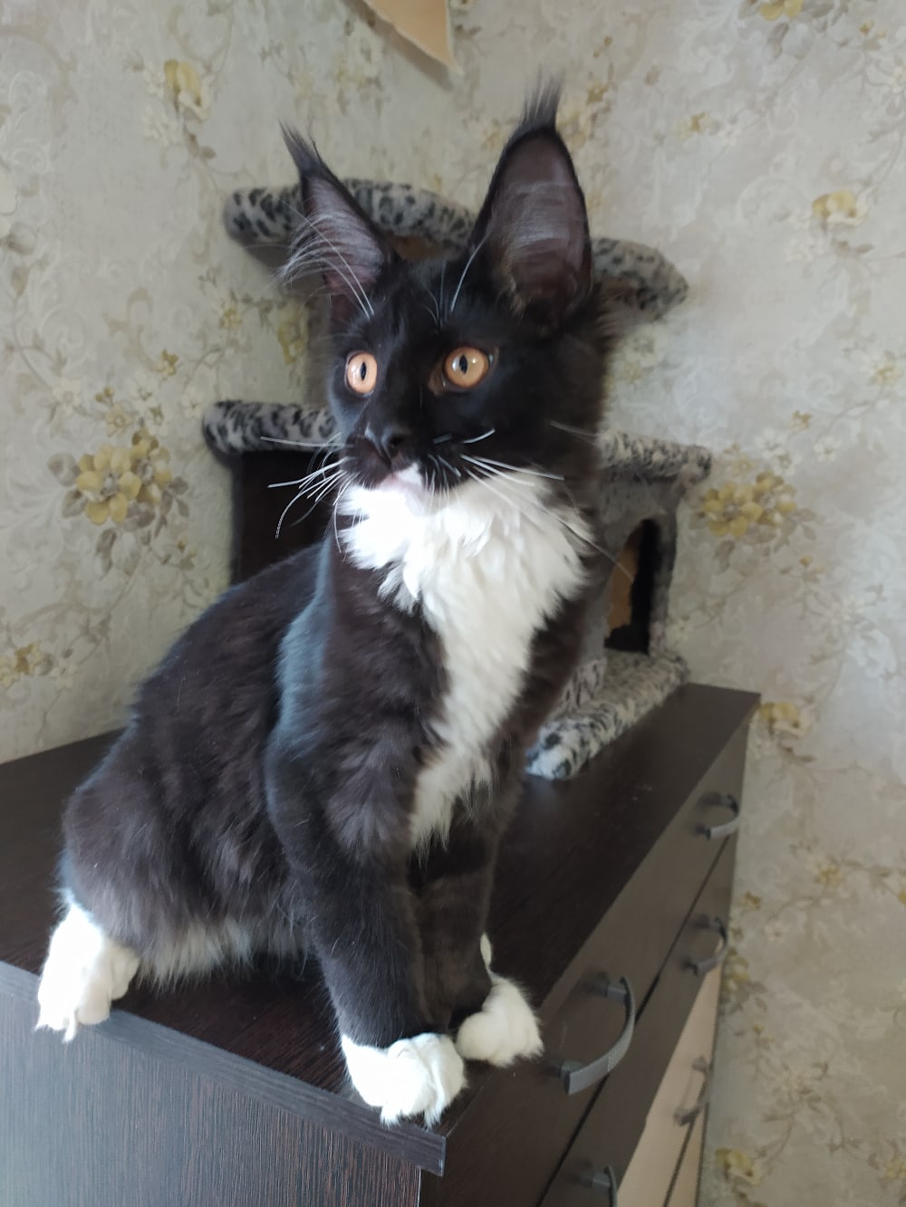 Что, опять гости, опять нянчить будут