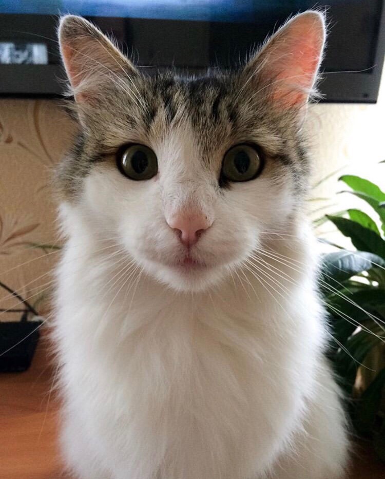 На сегодня планов много, ведь сегодня выходной