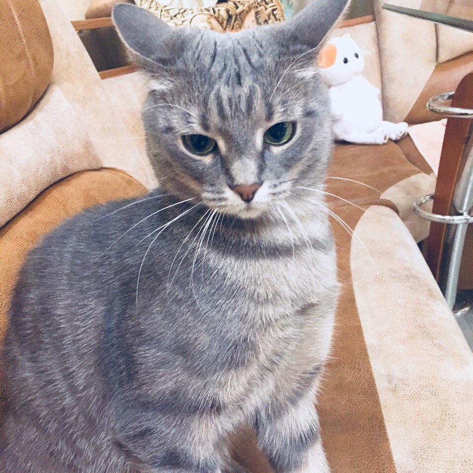 Опять понедельник, опять одному дома скучать