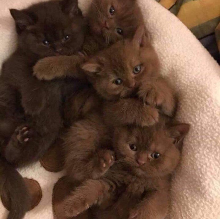 Один лучше другого