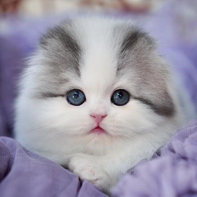 Как у вас делишки