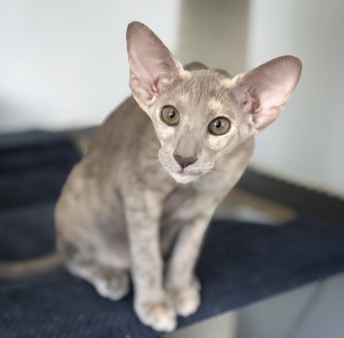 Кто проснулся, всем привет