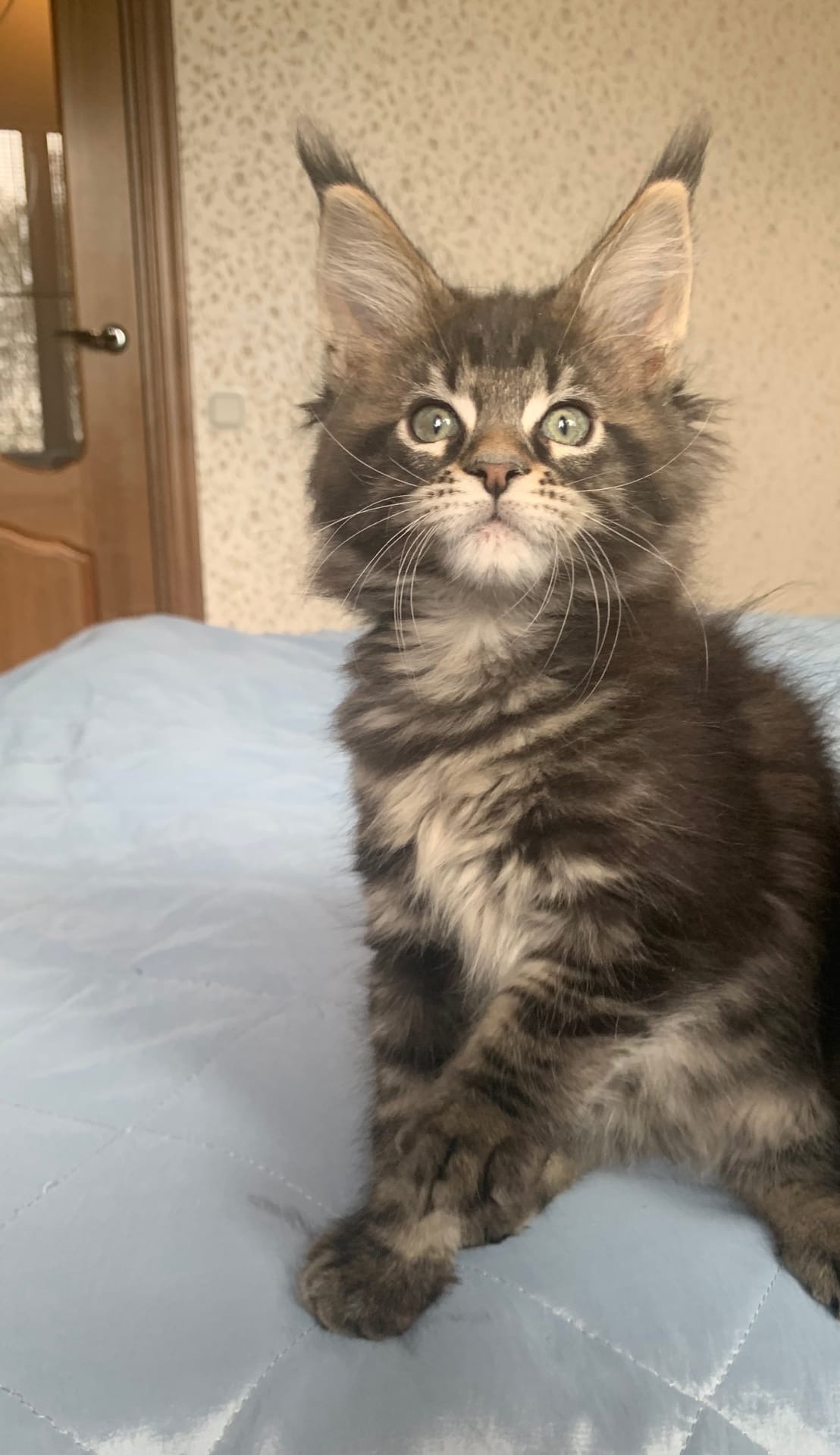 Пока вы на работе, я тут посплю