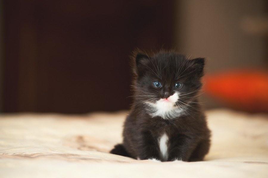 Я вас в себя влюблю, а вы меня будите баловать