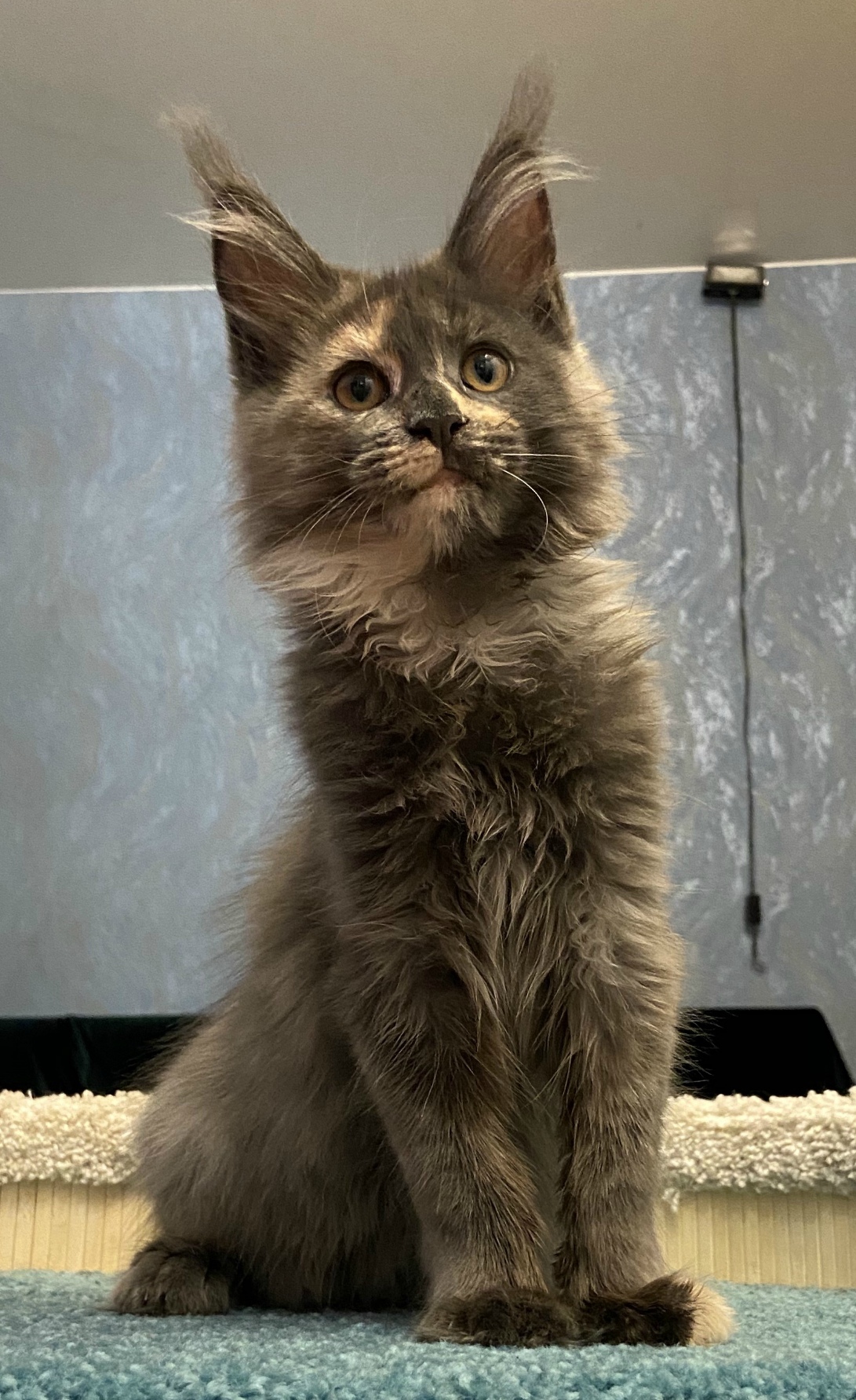 Кто составит мне компанию по играм